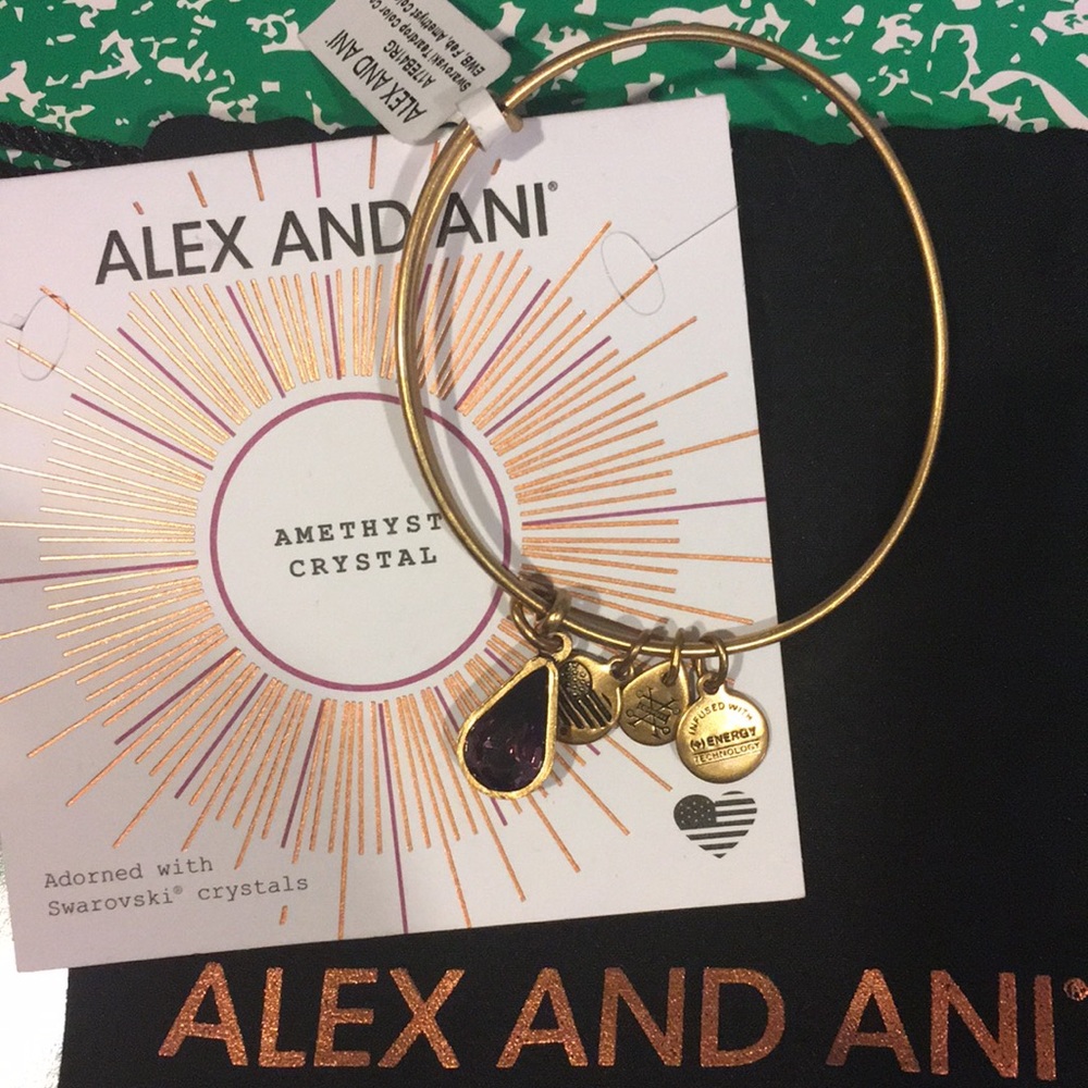 NWT Alex and Ani Amethyst Bracelet